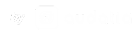 agencia marketing digital audatia nexus